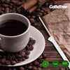 GoBeTree 500 Wooden Scoops Individually Wrapped in 14cm Paper Disposable