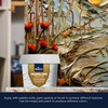 Bluebird Thick Modeling Paste White 5.3 Oz / 150gm -