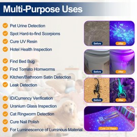 Black Light UV Light Flashlight: Vansky 395nm 12 LED 2 Pack Ultraviolet Blacklight Flashlight Mini Powerful Pet Urine Detector for Dog/Cat, Carpet Dry Stains Detection, Spot Scorpions, Resin Curing
