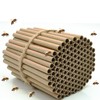 Jindduo Mason Bee Tubes 120 Pieces of 6 inch Long