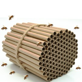 Jindduo Mason Bee Tubes 120 Pieces of 6 inch Long and 5/16 inch Inner Diameter Hole Great Refills and Inserts for Bee Houses,Condos,Hotels and Nests