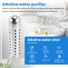 Daiilg Purifier Ionizer Stick Raise Ph Structured Water Alkaline Water