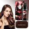 Bubble Hair Dye (Chestnut brown, 1PCS)