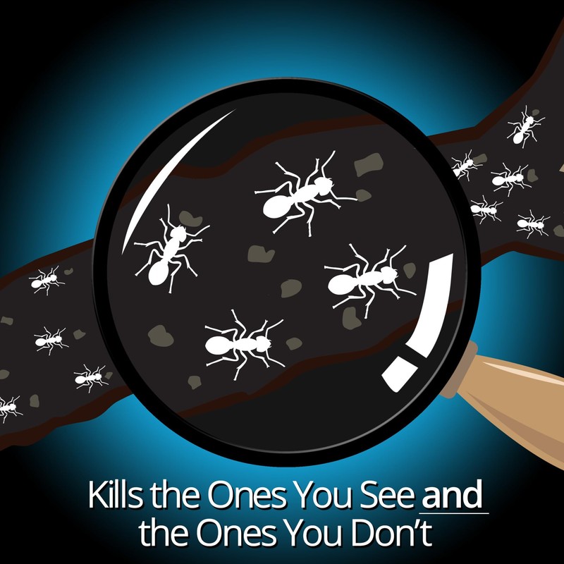 Combat Indoor and Outdoor Ant Killing Gel, 27 Gram