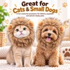 Lion Mane Pet Hat for Cat Dress-Up – Elastic Headgear