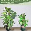 Moss Pole DIY Kit, 6.6/13.2/26.4ft Metal Moss Pole for Plants