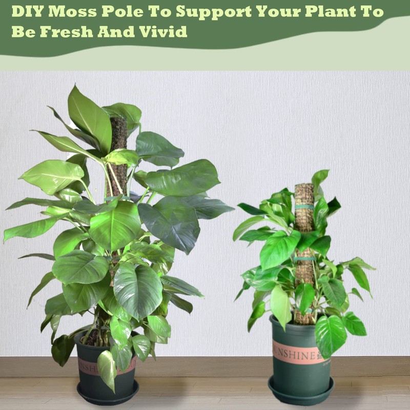 Moss Pole DIY Kit, 6.6/13.2/26.4ft Metal Moss Pole for Plants
