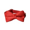 Love Dream Bowtie Dog Collar, Velvet Dog Collars with Detachable