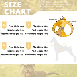 Savlot Dog Harness for Small and Medium Dogs, Anti Pull Puppy Harness with Leash, Step-In Harness for Small Dogs