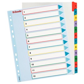 Esselte A4 12 Positions Reusable Index Divider