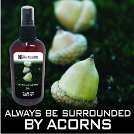 Outdoor Hunting Lab Cover Scent for Deer Hunting – Deer Attractant - Deer Scents and Attractants Spray – Scent Blocker for Stands, Hunting Gear & More - Deer Hunting Accessories (Acorn - 1 Pack)