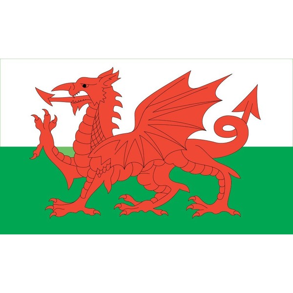 Annin Flagmakers Model 221113 Wales Flag 3x5 ft. Nylon SolarGuard