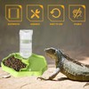 BEANPRECOY Reptile Water Dispenser, Turtle Water Bowl, 2 in 1