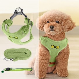 Puppy Harness for Small Dogs, Adjustable Puppy Harness and Lead Sets, Step in Vest Harness Leash Set, Escape Proof No Pull Pet Harness for Daily Walking Running Training