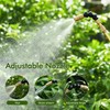 High Reach Plant Waterer Pump Pressure Sprayer for Indoor Hanging