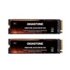 Gigastone HPC Computing M.2 SSD 1TB (2-Pack) PCIe 4.0 NVMe