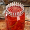 KADAX Fermentation Weight for Preserving Jars, Plastic Fermentation Lid, Food
