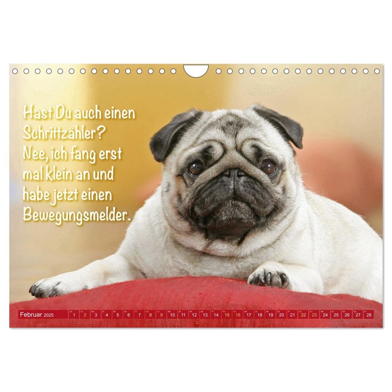 Smile with Pug (Wall Calendar 2025 DIN A4 Landscape), CALVENDO