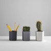 Hexagonal Bamboo Fibre Desk Pots | Pen Cup Tidy |