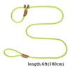 Slip Lead Rope Dog Leash Heavy Duty for Training, Nylon