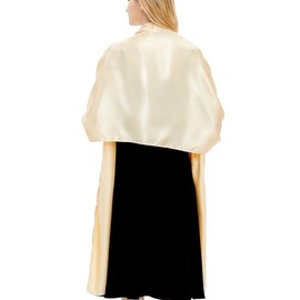 Scarves and Wraps for Women Evening Dresses Satin Scarf Extra Long Wedding Bridal Party Bright Stole, champagne