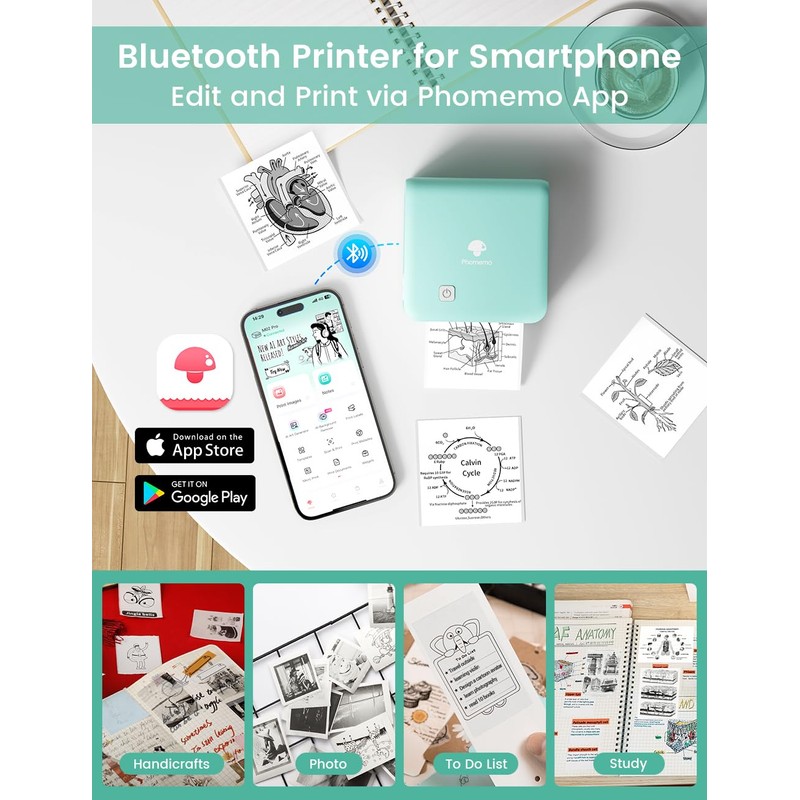 Phomemo M02 Pro 300 DPI Mini Printer with 3 Label