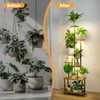 Vsoke 62" Plant Stand with 4 Full Spectrum Grow Lights,