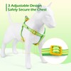 Tiffpaws Stripe Step in Dog Harness for Small Dogs, Freedom