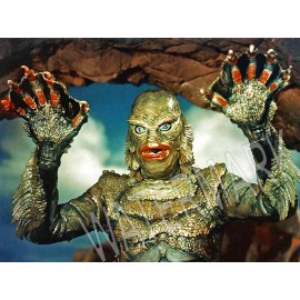 Creature from the Black Lagoon High Quality Metal Magnet 3 x 4 inches 9538