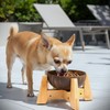 Dog Bowl for Cats and Small Dogs - All-Natural, Polished