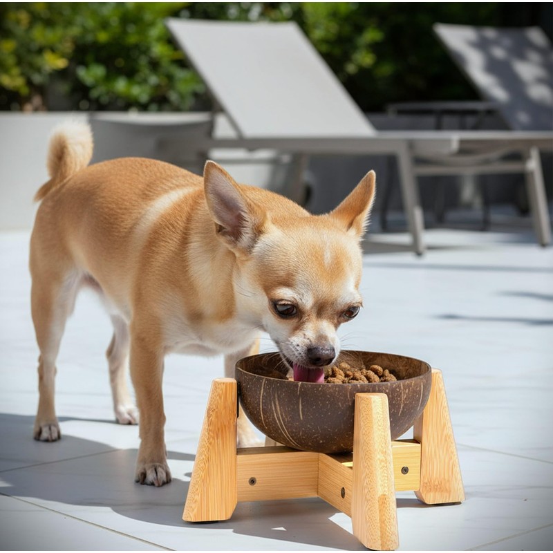 Dog Bowl for Cats and Small Dogs - All-Natural, Polished