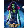 Guardians of the Galaxy Clear File Set IG4091