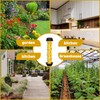 Qualirey Fly Traps for Indoor Outdoor Hanging Fruit Fly Stick