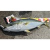 TRH All Round Casting Rod, LOOP85 Loop Hugging, Egging, Light