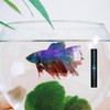 Luckious 4 Pcs Fish Tank Thermometer - 10~40℃ Digital Aquarium
