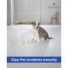 Spill Absorb Liquid Absorbent Powder Instantly Absorbs Liquid Spills Reducing
