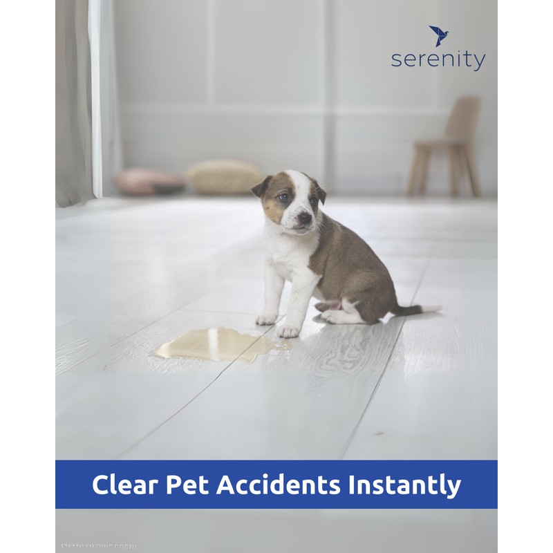 Spill Absorb Liquid Absorbent Powder Instantly Absorbs Liquid Spills Reducing