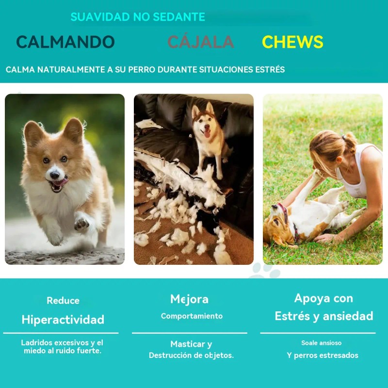 Perro Snacks Calmantes Para Perros 60 Tabletas 4 Sabores