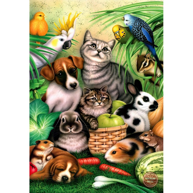 Magic Pets Jigsaw Puzzle, 260-Piece