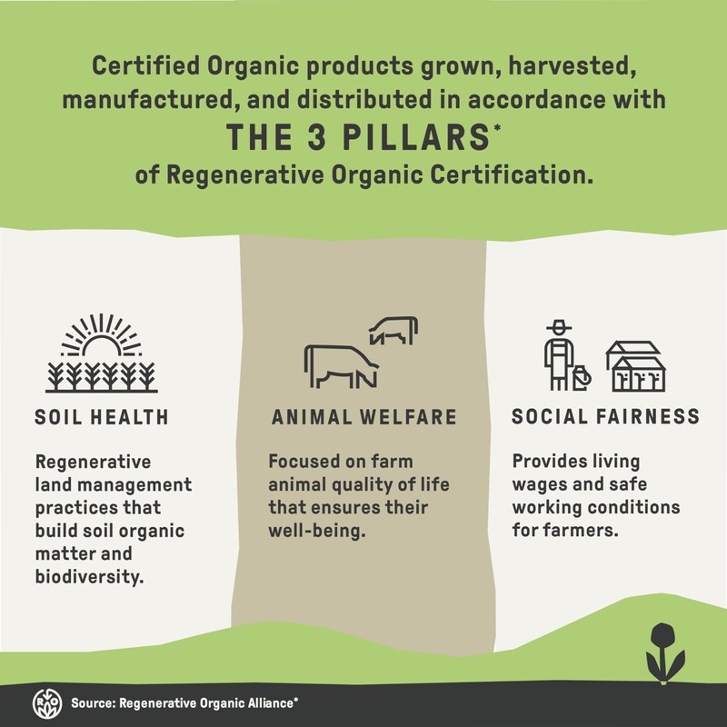 GROUNDWORK COFFEE CO Organic Regenerative Wild Bloom Whole Bean Coffee,