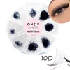 One V Salon Pro 10D Promade Loose Fans, 1000 Premade