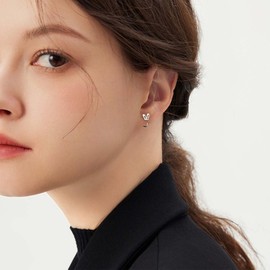 Aneneiceera Silber Winzige Kaninchen Ohrringe Schmuck Für Frauen