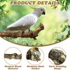 PINVNBY 3 Sizes Natural Bird Perches Wooden Parakeet Perches Bird