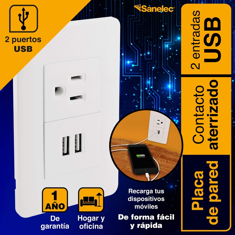 Sanelec 4466 Contacto 2 Entradas USB, Aterrizado con Placa, color