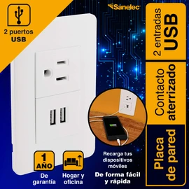 Sanelec 4466 Contacto 2 Entradas USB, Aterrizado con Placa, color Blanco