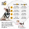 OrganiMax Dog Harness No Pull – Adjustable Bow Tie and