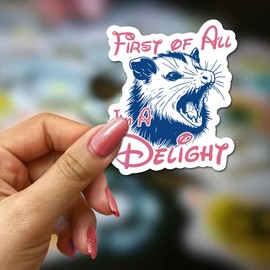 FALIMITLESS First of All I'm A Delight Sticker 3Pcs Funny Opossum Sarcastic Possum Sticker Vinyl Waterproof Decals for Notebook, Tumbler, Laptop and Water Bottle (A Delight)