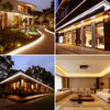 BENLUN AC 110V COB LED Strip Lights Outdoor Waterproof 65.6ft,