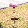 MUMTOP 31 Inch Height Glass Birdbath Birdfeeder with Metal Stake