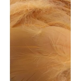 Golden Yellow Feathers, 100 Pack